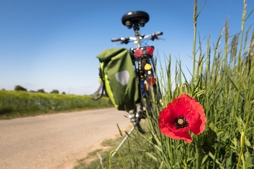 Landschap met fiets en klaproos op de foto