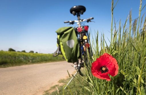 Landschap met fiets en klaproos op de foto