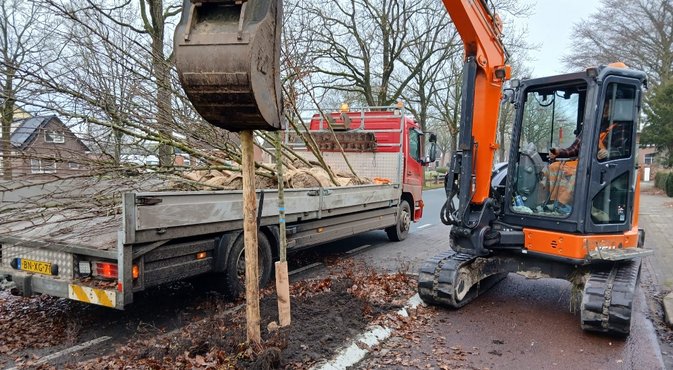 Aanplant boom met kraan