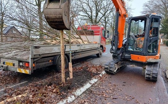 Aanplant boom met kraan